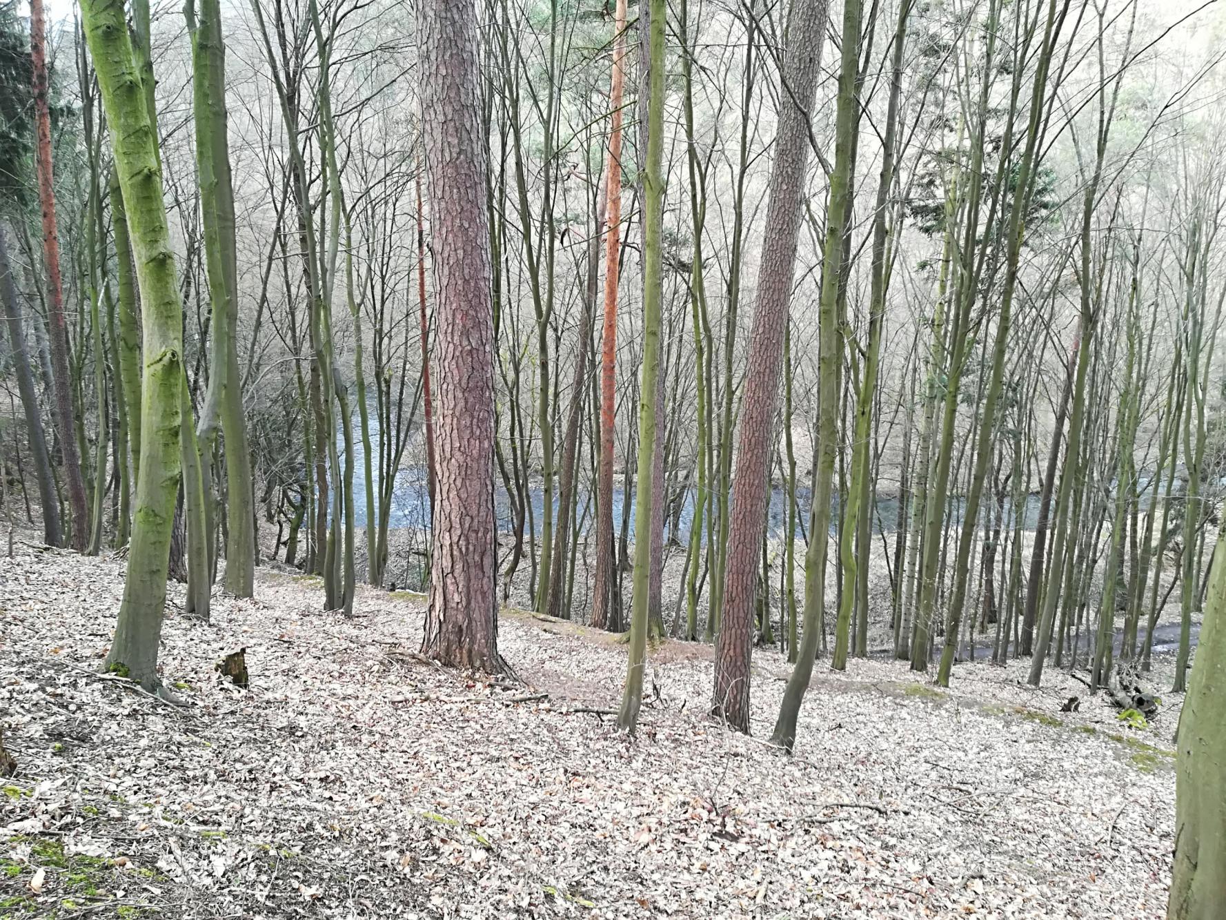 Foto z galerie „Výlet na Nový hrad“