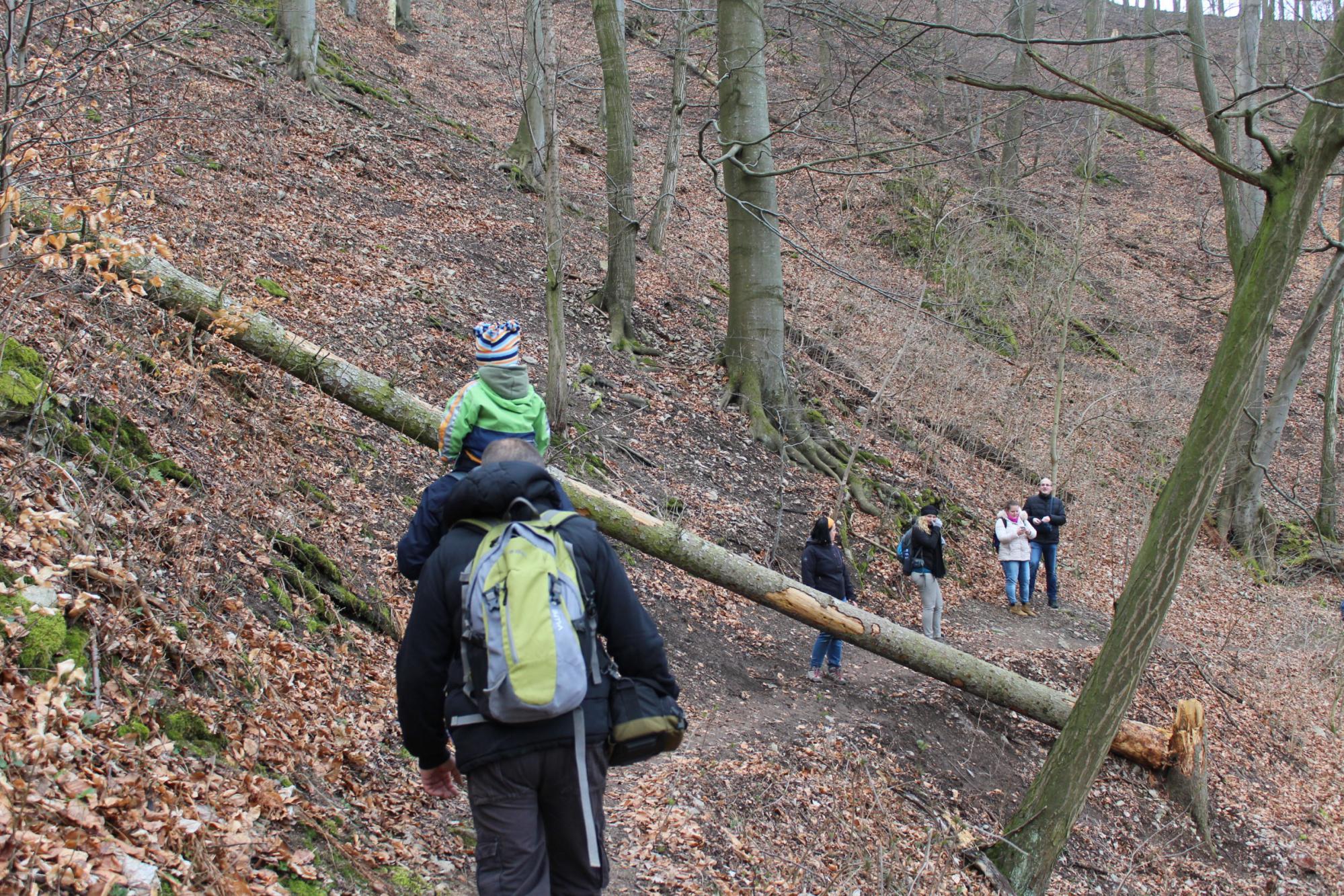 Foto z galerie „Výlet na Nový hrad“