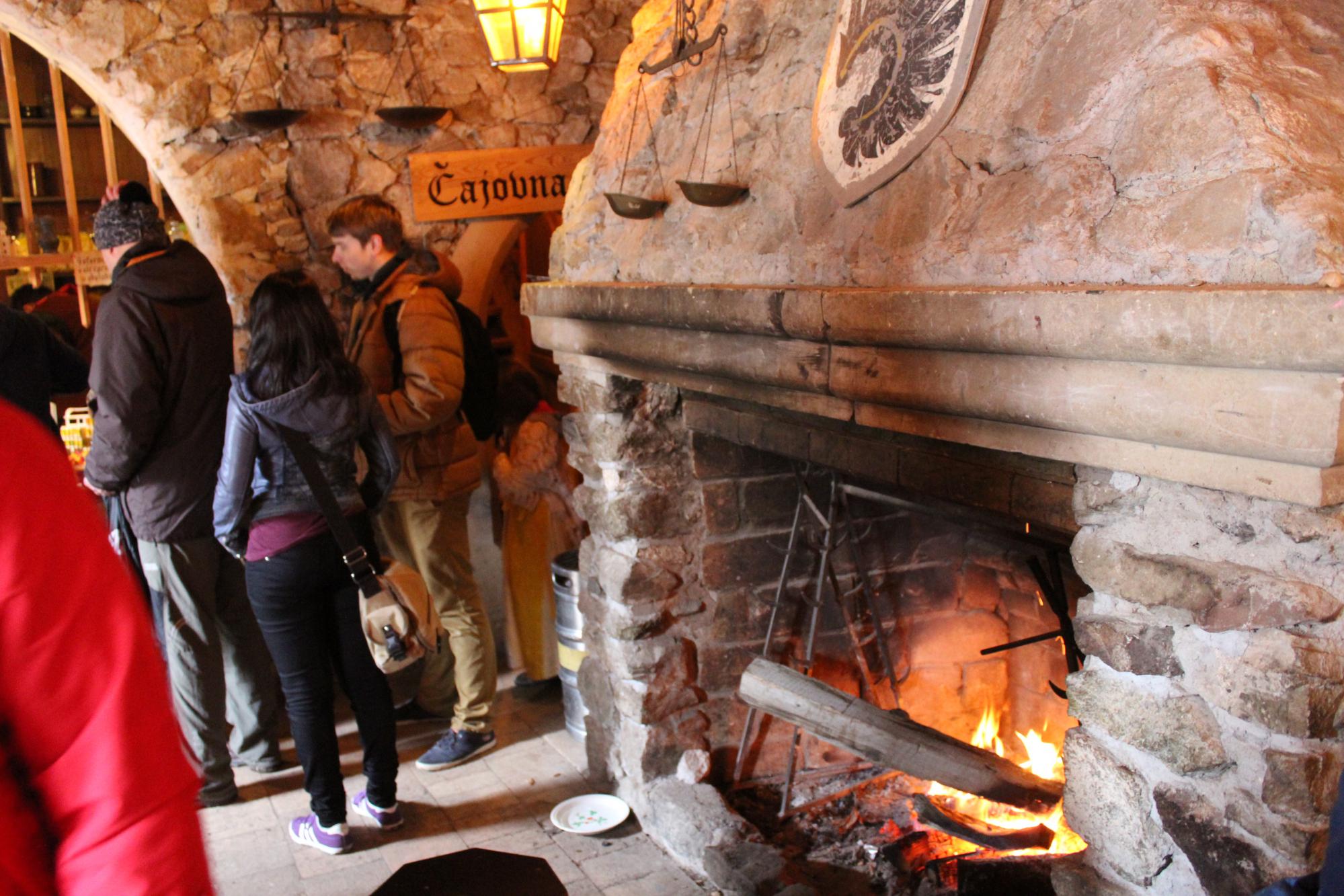 Foto z galerie „Výlet na Nový hrad“