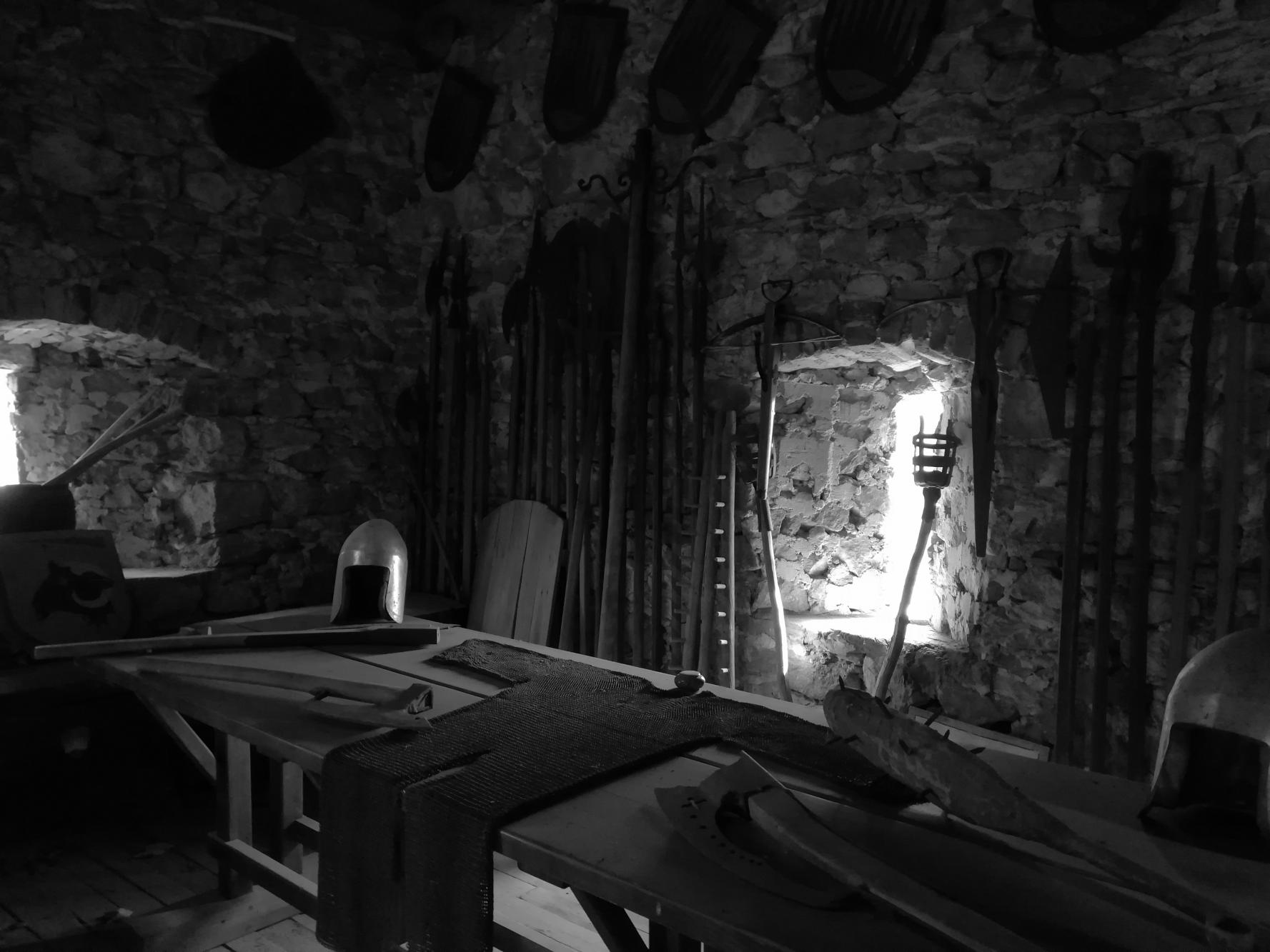 Foto z galerie „Výlet na Nový hrad“
