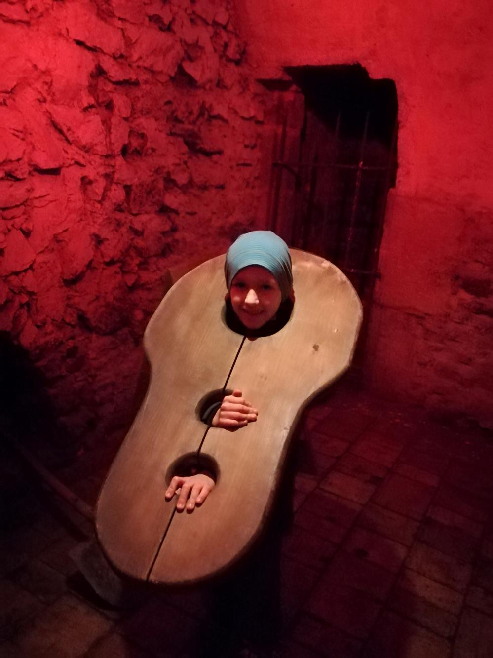 Foto z galerie „Výlet na Nový hrad“