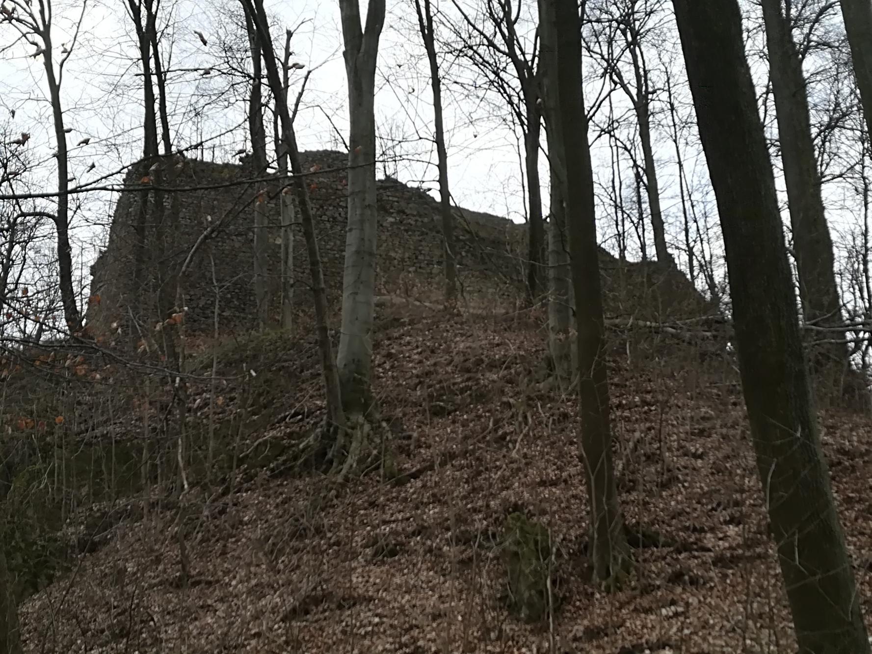 Foto z galerie „Výlet na Nový hrad“