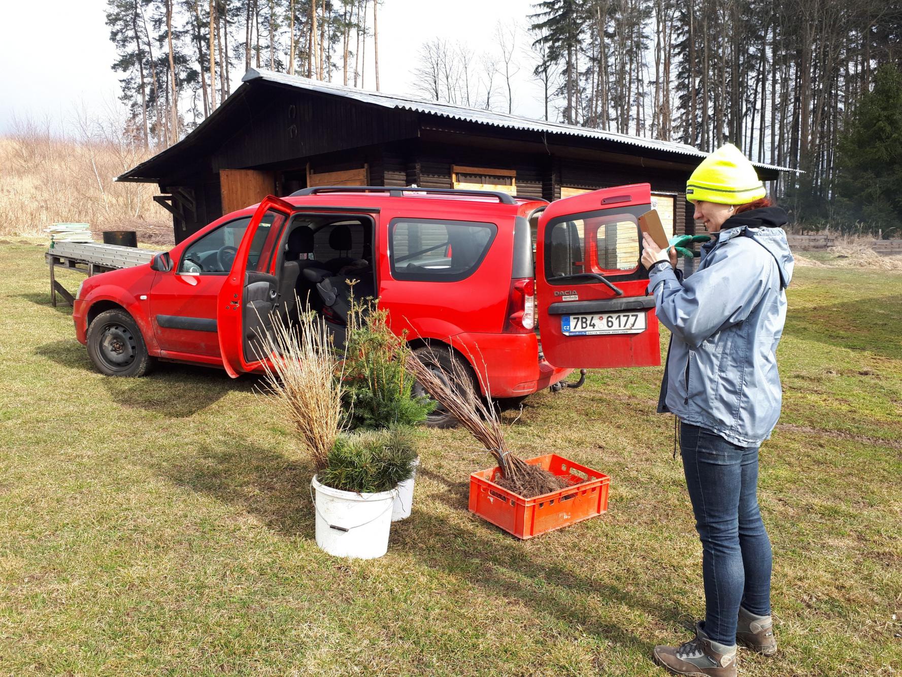 Foto z galerie „Sázení stromků v okolí Lorienského tábořiště“