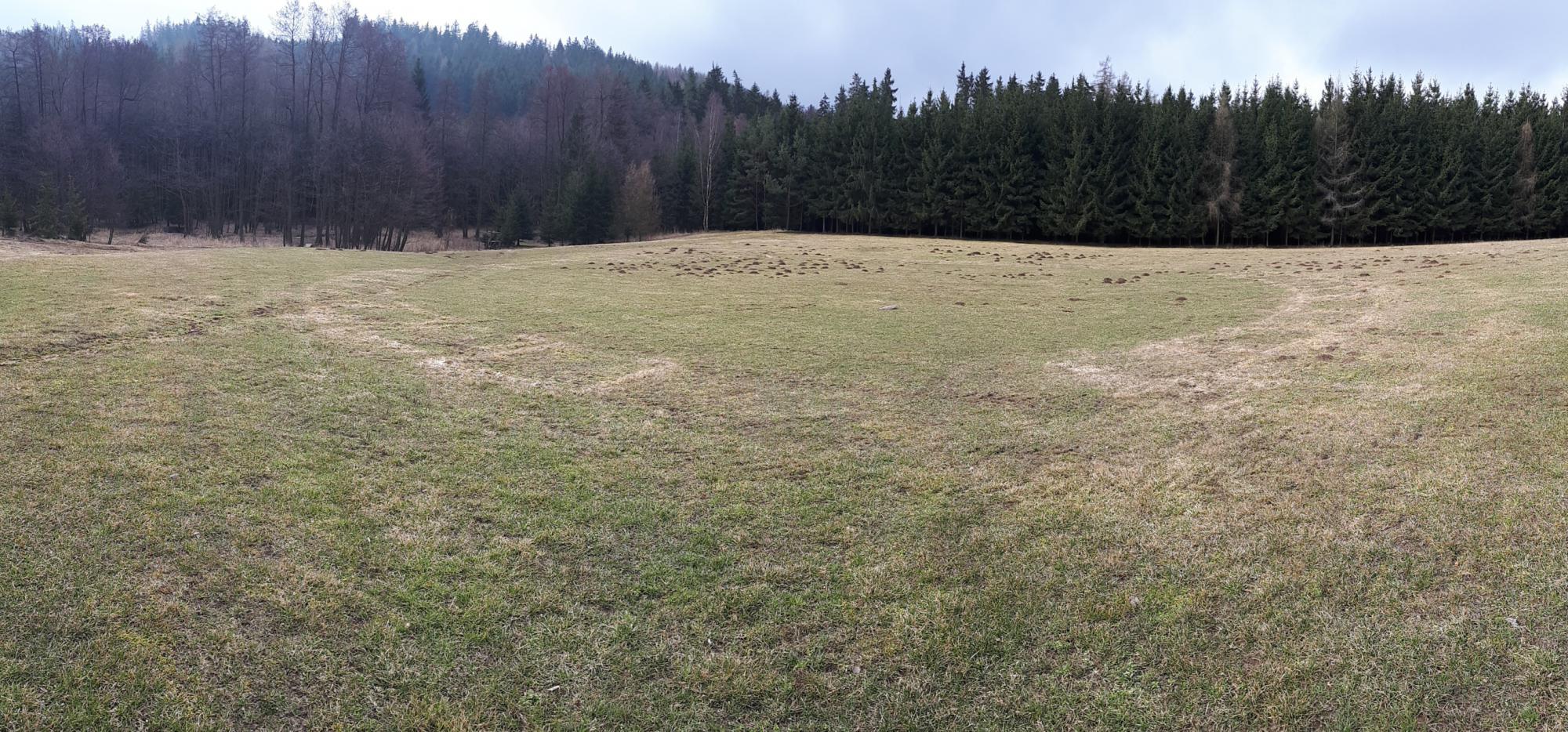 Foto z galerie „Sázení stromků v okolí Lorienského tábořiště“