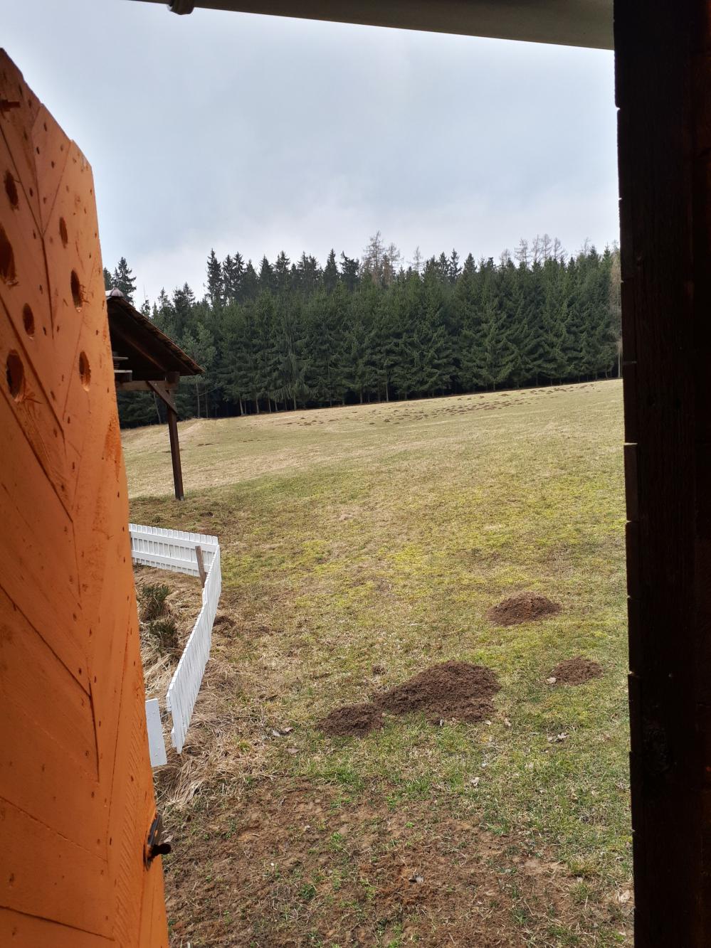 Foto z galerie „Sázení stromků v okolí Lorienského tábořiště“