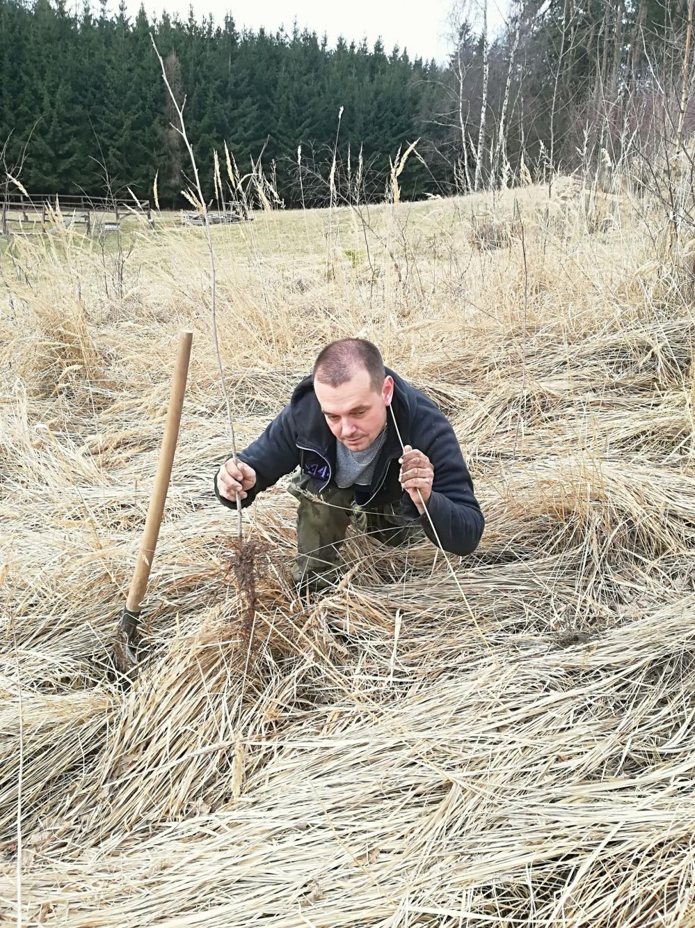 Foto z galerie „Sázení stromků v okolí Lorienského tábořiště“