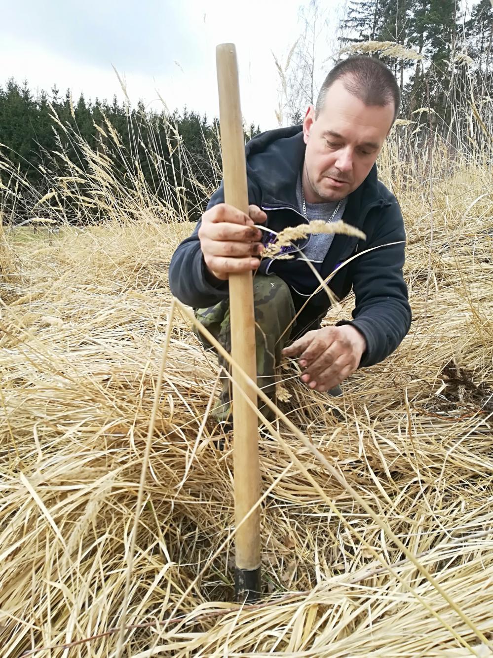 Foto z galerie „Sázení stromků v okolí Lorienského tábořiště“