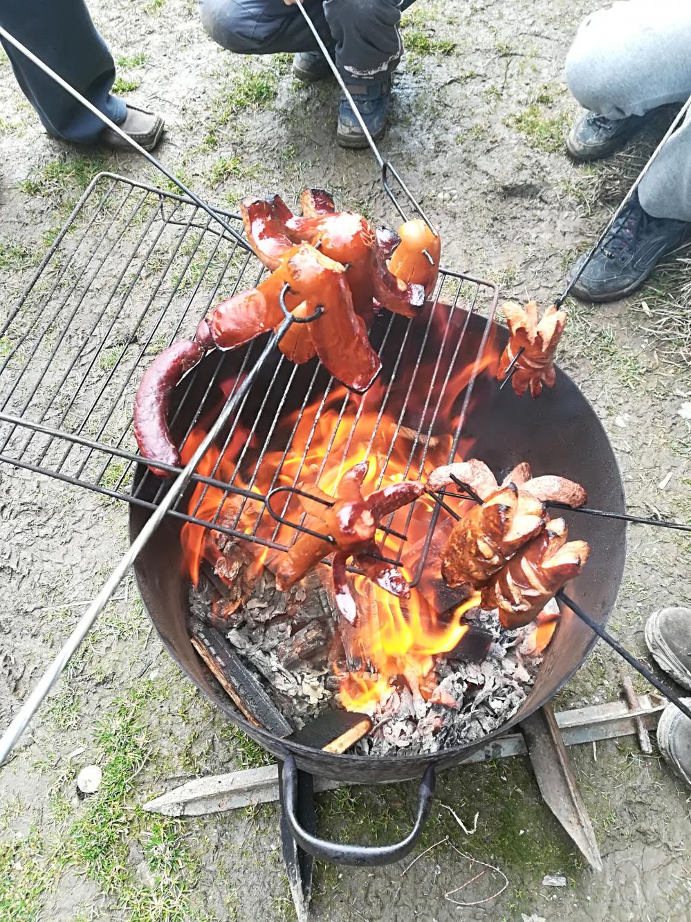 Foto z galerie „Sázení stromků v okolí Lorienského tábořiště“