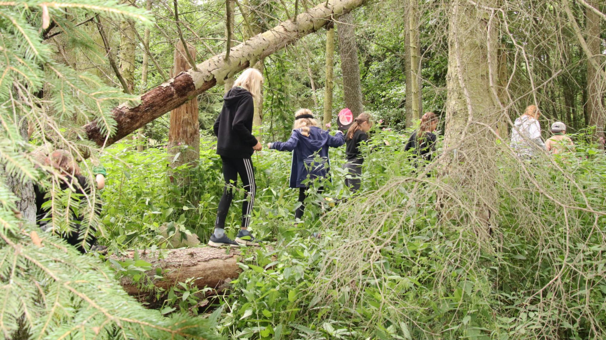 Foto z galerie „Expedice kolem světa 13.den čtvrtek“