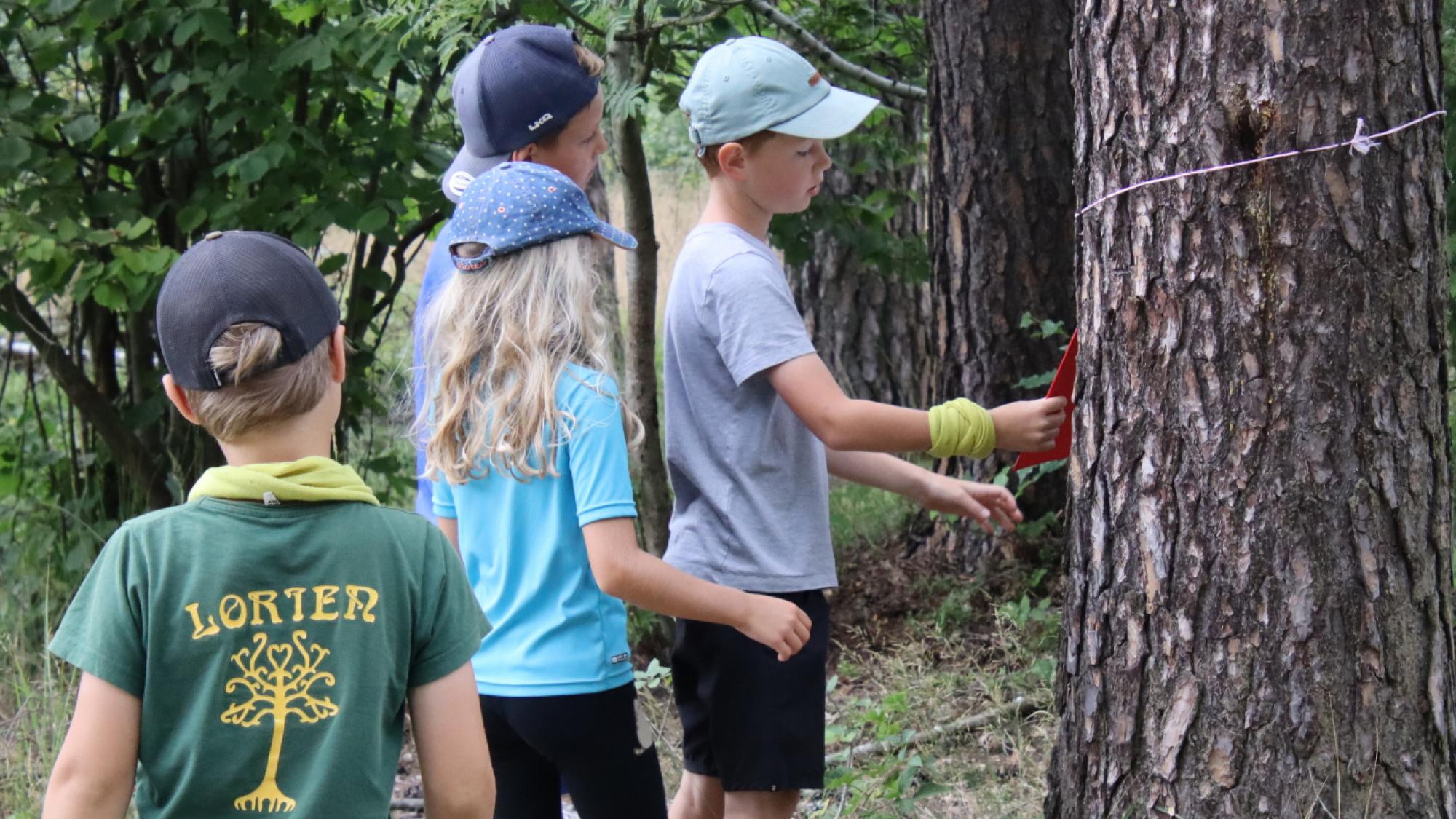 Foto z galerie „Expedice kolem světa 14.den pátek“