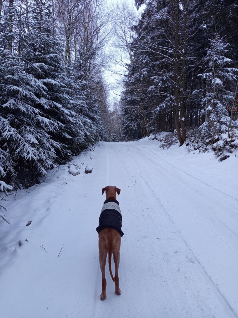 Foto z galerie „Hory 1. část“