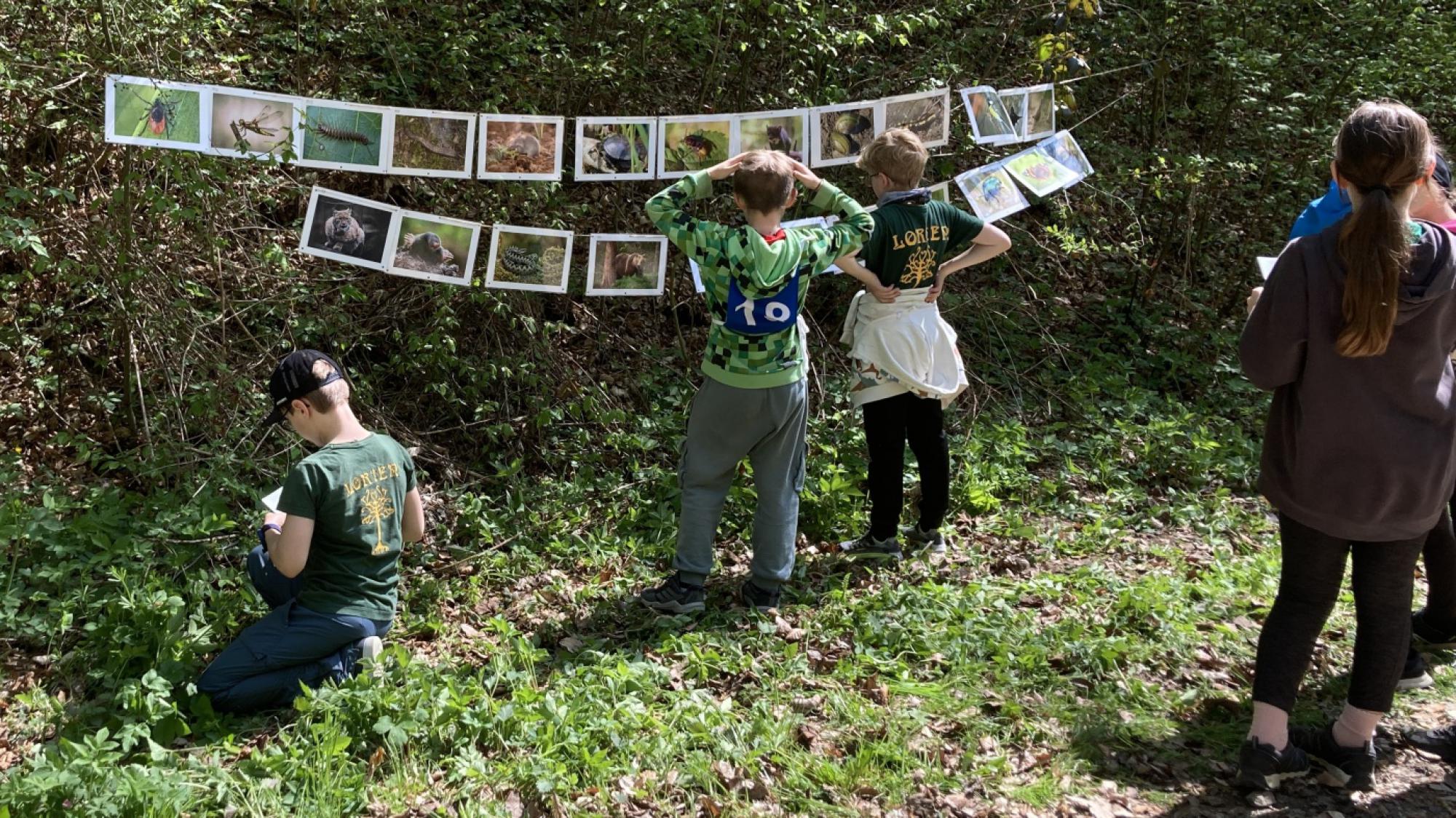 Foto z galerie „Setonův závod“