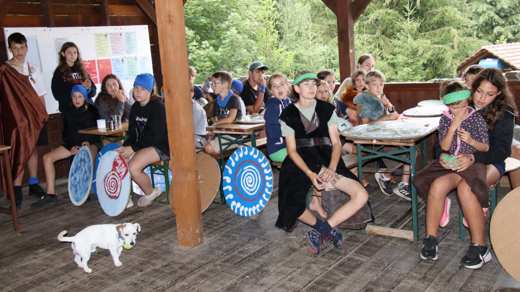 Foto z galerie „Vikingové 6.den čtvrtek“